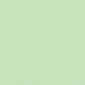 Meet your Posher, Stella